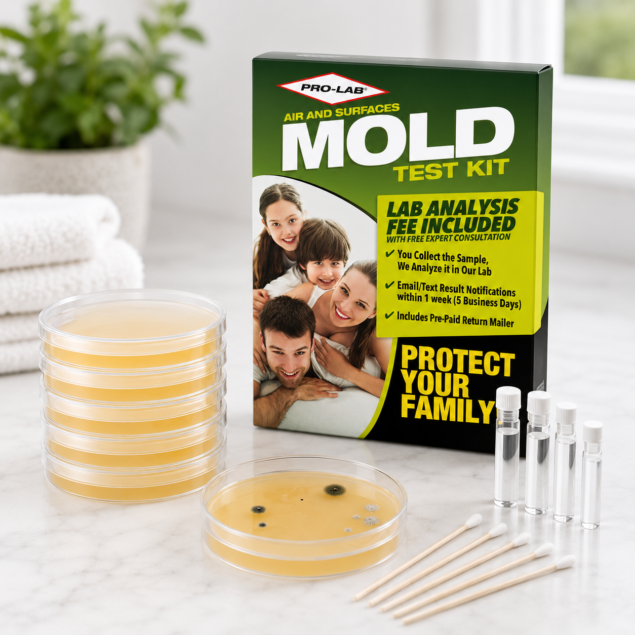 Mold DIY Kits