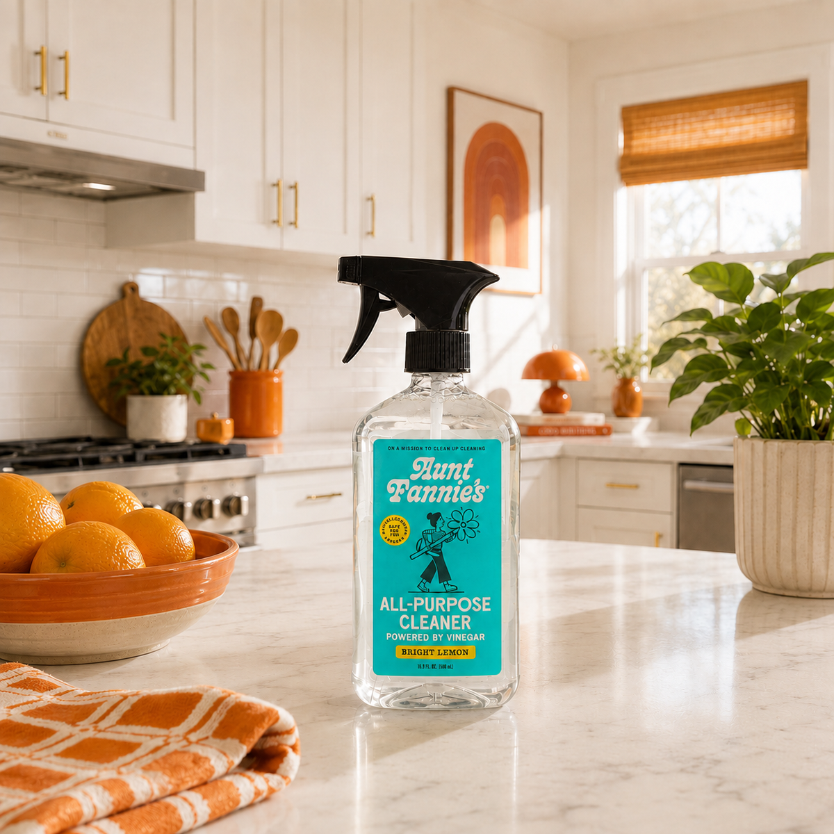 All-Purpose Cleaning Vinegar — Spray & Wipes