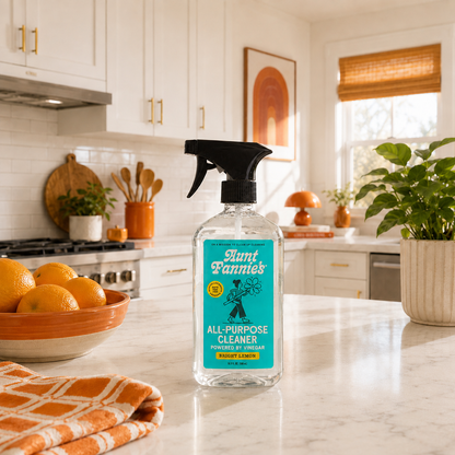 All-Purpose Cleaning Vinegar — Spray & Wipes
